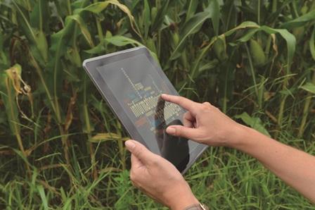 Pessoa segura um tablet fazendo análises diante de uma plantação