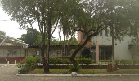 CCHN Prédio e árvores
