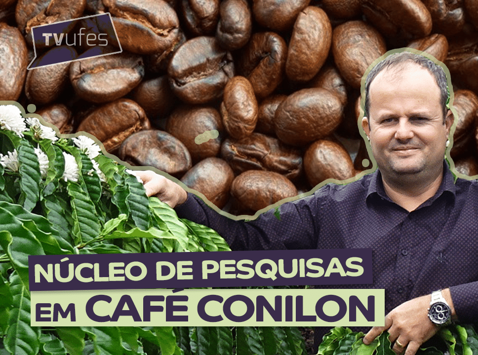 Ufes é a instituição que mais publica artigos científicos sobre café Conilon