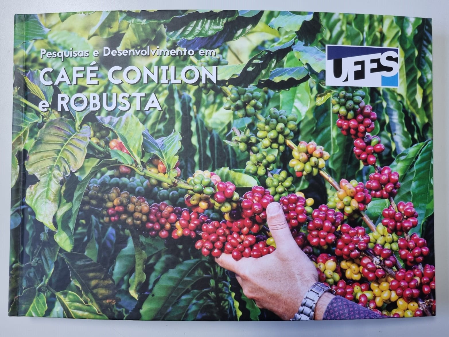 Livro apresenta pesquisas para o desenvolvimento do conilon e robusta