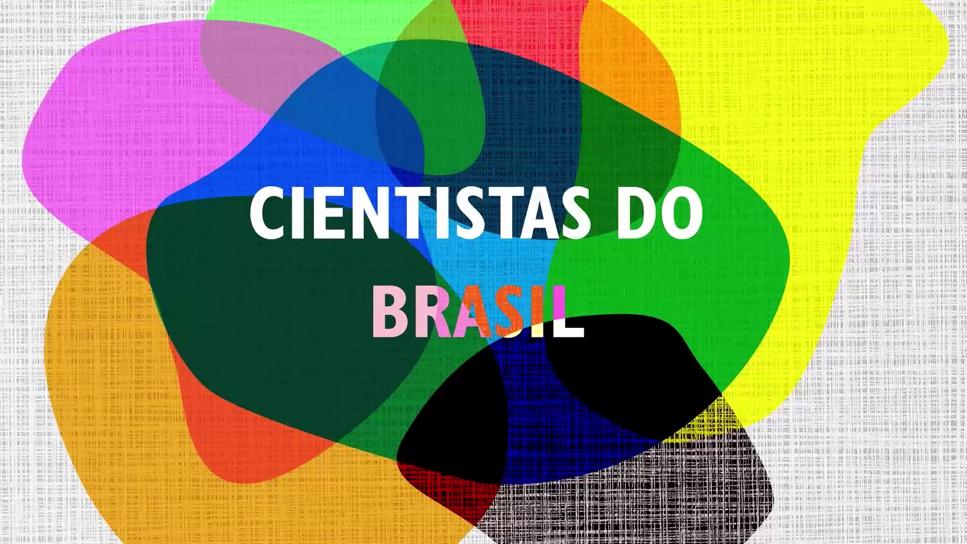 Pesquisadoras falam sobre espaço e visibilidade na ciência; conheça a  participação de mulheres nas áreas do conhecimento na UFPR - Universidade  Federal do Paraná