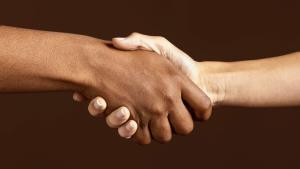 Imagem de duas mãos, uma branca e uma negra, se cumprimentando. 