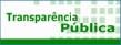Retângulo branco com quadradinhos verdes ao fundo e com o Texto "Transparência pública" na cor verde