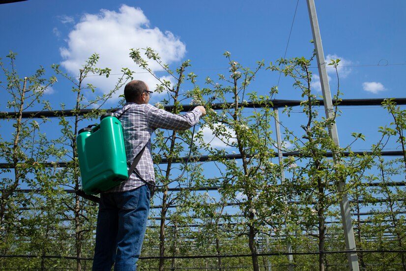 Segundo pesquisadores, Brasil continua sendo o maior consumidor de produtos agrotóxicos do mundo Agricultor usa pesticida em plantação
