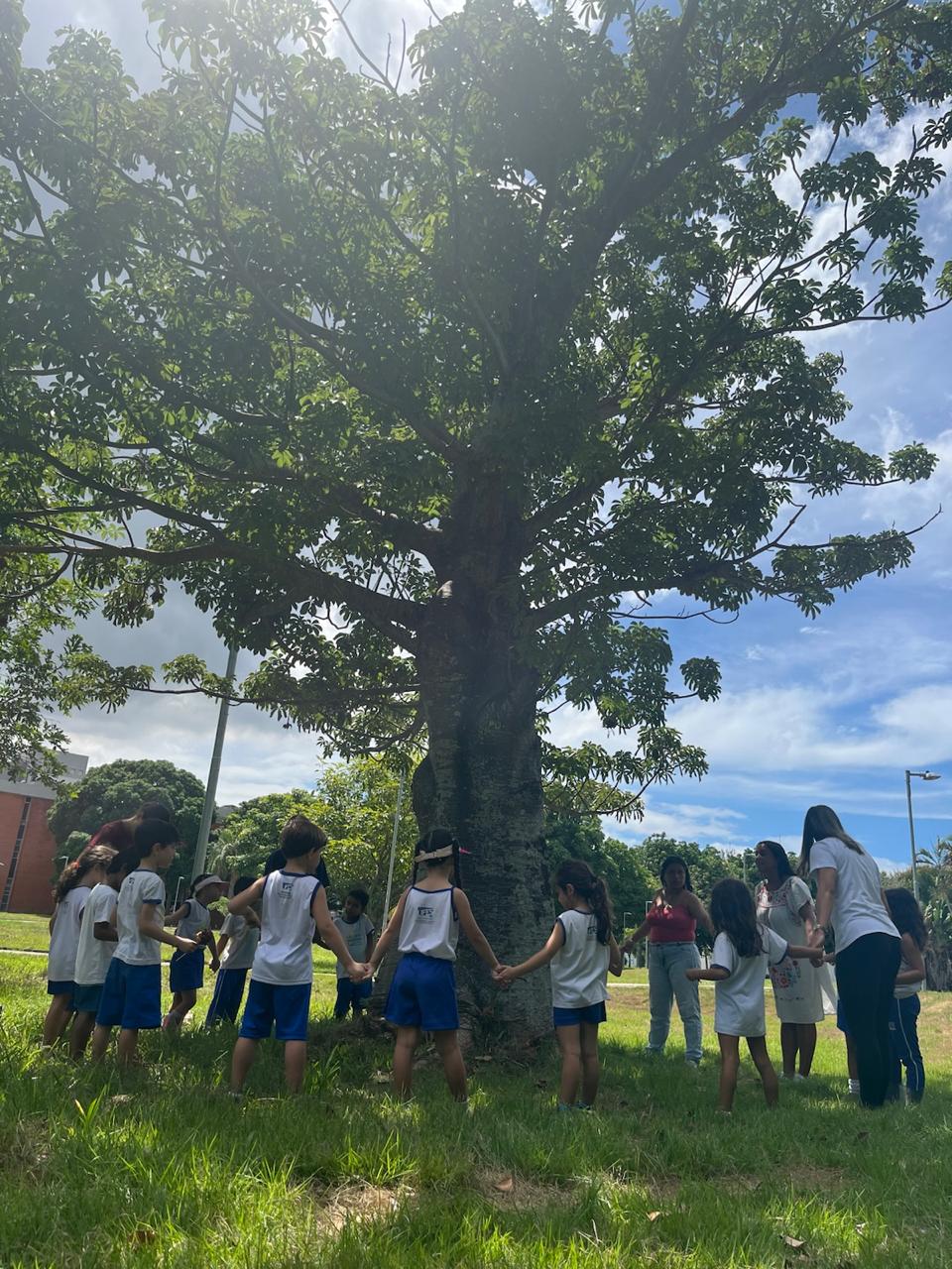 Uma das atividades do Núcleo realizadas com alunos do Colégio de Aplicação Criarte Foto de crianças de mãos dadas em volta de uma árvore, em uma das atividade do Núcleo
