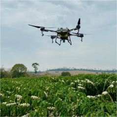 Foto de drone sobrevoando plantação agrícola