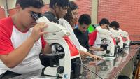 Foto de estudantes olhado em microscópios
