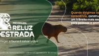 Cartaz de divulgação do programa