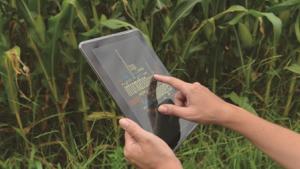 Pessoa segura um tablet fazendo análises diante de uma plantação