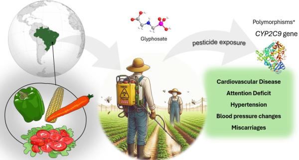 Imagem de estudo sobre agrotóxicos